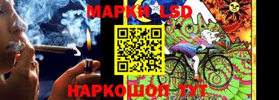 индика Волжск