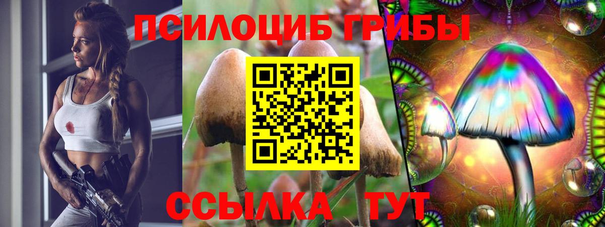 Галлюциногенные грибы мицелий Междуреченск