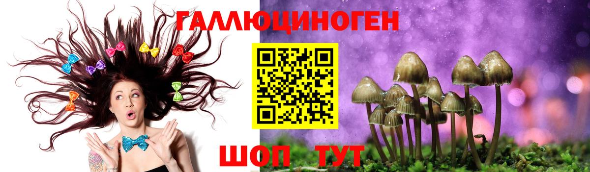 Междуреченск  Псилоцибиновые грибы GOLDEN TEACHER  Псилоцибиновые грибы прущие грибы  Вход с VPN 