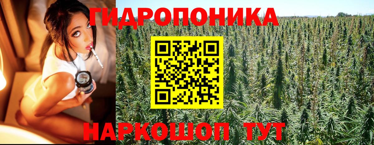 Междуреченск  Канабис OG Kush  Шишки марихуана SATIVA & INDICA  Конопля LSD WEED  Вход с VPN 